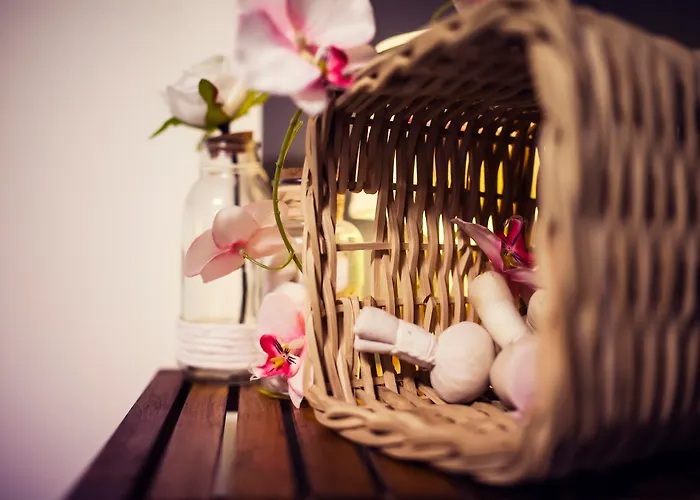 卡尔顿海滩 海牙